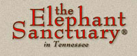 USA Elephant sanctuary